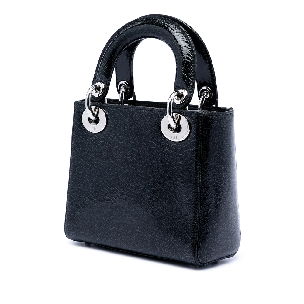Pre-Loved Dior Mini Deerskin Ceramic Effect Jeweled Swan Lady Dior - Picture 2 of 7